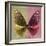 Miss Butterfly Euploea Sq - Gold & Red-Philippe Hugonnard-Framed Photographic Print