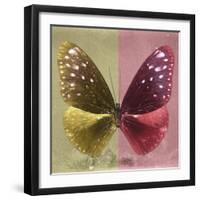 Miss Butterfly Euploea Sq - Gold & Red-Philippe Hugonnard-Framed Photographic Print