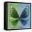 Miss Butterfly Euploea Sq - Green & Blue-Philippe Hugonnard-Framed Stretched Canvas