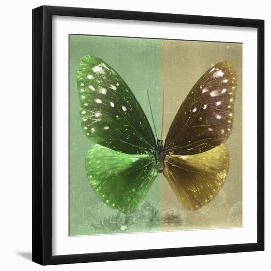 Miss Butterfly Euploea Sq - Green & Gold-Philippe Hugonnard-Framed Photographic Print