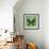 Miss Butterfly Euploea Sq - Green-Philippe Hugonnard-Framed Photographic Print displayed on a wall