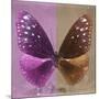 Miss Butterfly Euploea Sq - Hot Pink & Caramel-Philippe Hugonnard-Mounted Photographic Print