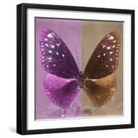 Miss Butterfly Euploea Sq - Hot Pink & Caramel-Philippe Hugonnard-Framed Photographic Print