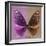 Miss Butterfly Euploea Sq - Hot Pink & Caramel-Philippe Hugonnard-Framed Photographic Print