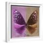 Miss Butterfly Euploea Sq - Hot Pink & Caramel-Philippe Hugonnard-Framed Photographic Print