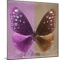 Miss Butterfly Euploea Sq - Hot Pink & Caramel-Philippe Hugonnard-Mounted Photographic Print