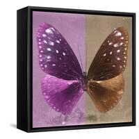 Miss Butterfly Euploea Sq - Hot Pink & Caramel-Philippe Hugonnard-Framed Stretched Canvas