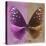 Miss Butterfly Euploea Sq - Hot Pink & Caramel-Philippe Hugonnard-Stretched Canvas