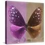 Miss Butterfly Euploea Sq - Hot Pink & Caramel-Philippe Hugonnard-Stretched Canvas