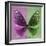 Miss Butterfly Euploea Sq - Hot Pink & Green-Philippe Hugonnard-Framed Premium Photographic Print