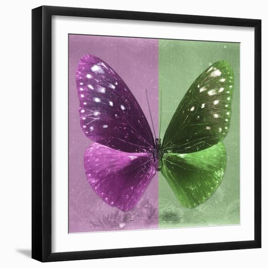 Miss Butterfly Euploea Sq - Hot Pink & Green-Philippe Hugonnard-Framed Premium Photographic Print