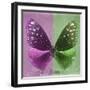 Miss Butterfly Euploea Sq - Hot Pink & Green-Philippe Hugonnard-Framed Premium Photographic Print