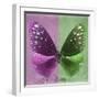 Miss Butterfly Euploea Sq - Hot Pink & Green-Philippe Hugonnard-Framed Premium Photographic Print