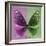 Miss Butterfly Euploea Sq - Hot Pink & Green-Philippe Hugonnard-Framed Photographic Print