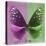 Miss Butterfly Euploea Sq - Hot Pink & Green-Philippe Hugonnard-Stretched Canvas