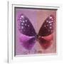 Miss Butterfly Euploea Sq - Hot Pink & Red-Philippe Hugonnard-Framed Photographic Print