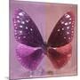 Miss Butterfly Euploea Sq - Hot Pink & Red-Philippe Hugonnard-Mounted Photographic Print