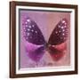 Miss Butterfly Euploea Sq - Hot Pink & Red-Philippe Hugonnard-Framed Photographic Print