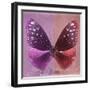 Miss Butterfly Euploea Sq - Hot Pink & Red-Philippe Hugonnard-Framed Photographic Print