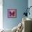 Miss Butterfly Euploea Sq - Hot Pink & Red-Philippe Hugonnard-Framed Stretched Canvas displayed on a wall