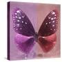 Miss Butterfly Euploea Sq - Hot Pink & Red-Philippe Hugonnard-Stretched Canvas