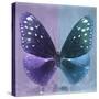 Miss Butterfly Euploea Sq - Purple & Blue-Philippe Hugonnard-Stretched Canvas