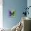 Miss Butterfly Euploea Sq - Purple & Green-Philippe Hugonnard-Photographic Print displayed on a wall