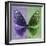 Miss Butterfly Euploea Sq - Purple & Green-Philippe Hugonnard-Framed Photographic Print