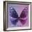 Miss Butterfly Euploea Sq - Purple & Hot Pink-Philippe Hugonnard-Framed Photographic Print