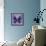 Miss Butterfly Euploea Sq - Purple-Philippe Hugonnard-Framed Stretched Canvas displayed on a wall