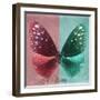 Miss Butterfly Euploea Sq - Red & Coral Green-Philippe Hugonnard-Framed Photographic Print