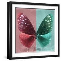 Miss Butterfly Euploea Sq - Red & Coral Green-Philippe Hugonnard-Framed Photographic Print