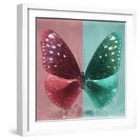 Miss Butterfly Euploea Sq - Red & Coral Green-Philippe Hugonnard-Framed Photographic Print