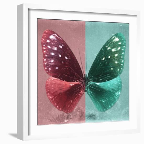 Miss Butterfly Euploea Sq - Red & Coral Green-Philippe Hugonnard-Framed Photographic Print