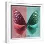 Miss Butterfly Euploea Sq - Red & Coral Green-Philippe Hugonnard-Framed Photographic Print