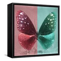 Miss Butterfly Euploea Sq - Red & Coral Green-Philippe Hugonnard-Framed Stretched Canvas