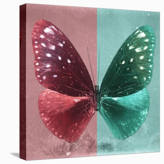 Miss Butterfly Euploea Sq - Red & Coral Green-Philippe Hugonnard-Stretched Canvas