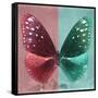 Miss Butterfly Euploea Sq - Red & Coral Green-Philippe Hugonnard-Framed Stretched Canvas