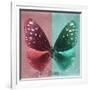 Miss Butterfly Euploea Sq - Red & Coral Green-Philippe Hugonnard-Framed Photographic Print