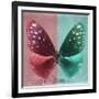 Miss Butterfly Euploea Sq - Red & Coral Green-Philippe Hugonnard-Framed Photographic Print