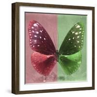 Miss Butterfly Euploea Sq - Red & Green-Philippe Hugonnard-Framed Photographic Print