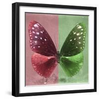 Miss Butterfly Euploea Sq - Red & Green-Philippe Hugonnard-Framed Photographic Print