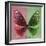 Miss Butterfly Euploea Sq - Red & Green-Philippe Hugonnard-Framed Photographic Print