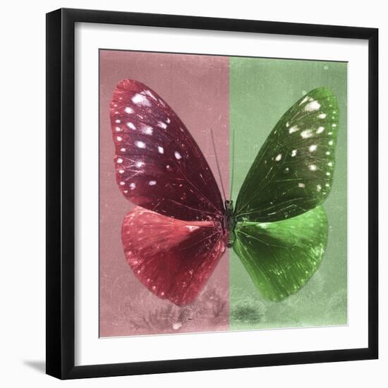 Miss Butterfly Euploea Sq - Red & Green-Philippe Hugonnard-Framed Photographic Print