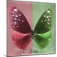 Miss Butterfly Euploea Sq - Red & Green-Philippe Hugonnard-Mounted Photographic Print