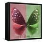 Miss Butterfly Euploea Sq - Red & Green-Philippe Hugonnard-Framed Stretched Canvas