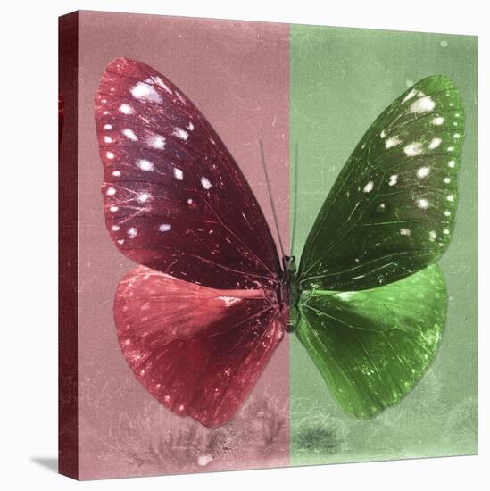 Miss Butterfly Euploea Sq - Red & Green-Philippe Hugonnard-Stretched Canvas