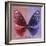 Miss Butterfly Euploea Sq - Red & Purple-Philippe Hugonnard-Framed Photographic Print