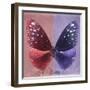 Miss Butterfly Euploea Sq - Red & Purple-Philippe Hugonnard-Framed Photographic Print