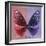 Miss Butterfly Euploea Sq - Red & Purple-Philippe Hugonnard-Framed Photographic Print